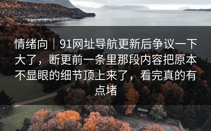 情绪向｜91网址导航更新后争议一下大了，断更前一条里那段内容把原本不显眼的细节顶上来了，看完真的有点堵